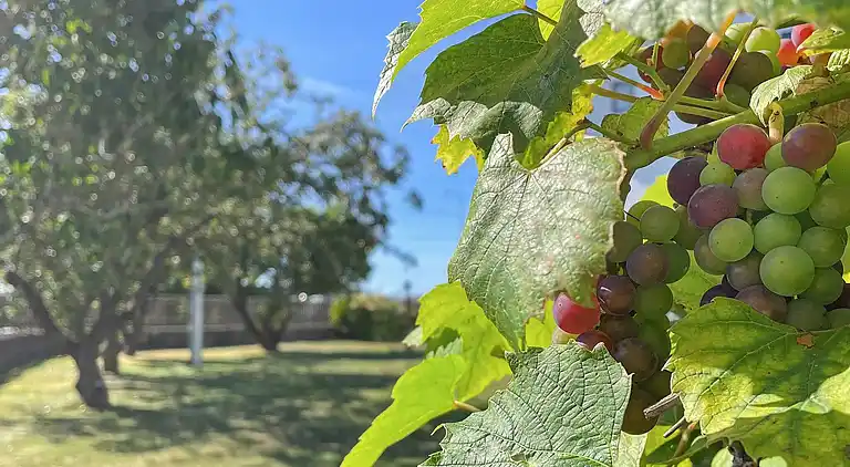 Ferienhaus in Öckerö