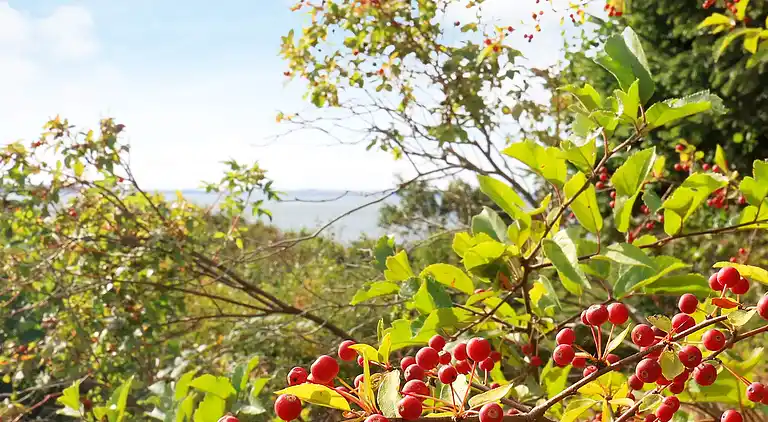 Holiday home in Spøttrup