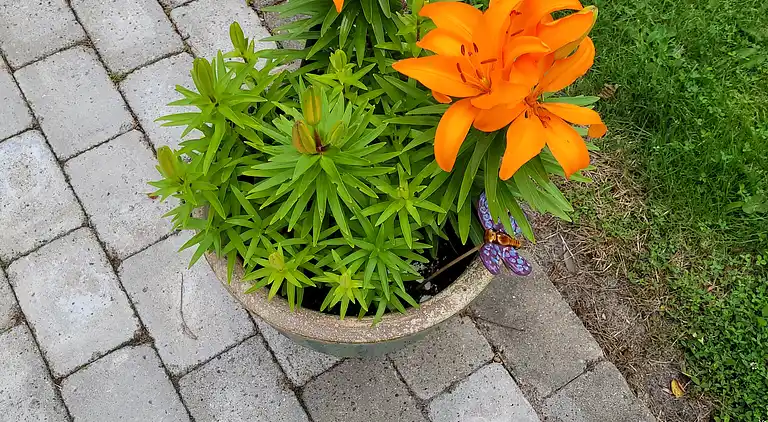 Ferienhaus mit Whirlpool und Außenwhirlpool