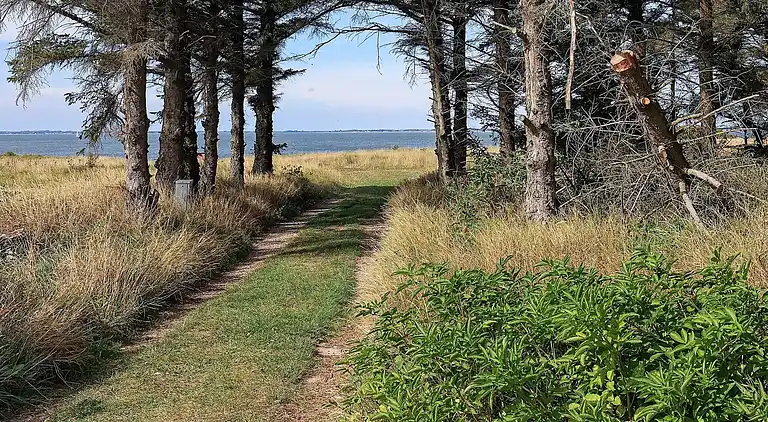 Semesterbostad i Spøttrup