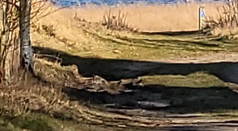 Ferienhaus mit Whirlpool und Außenwhirlpool