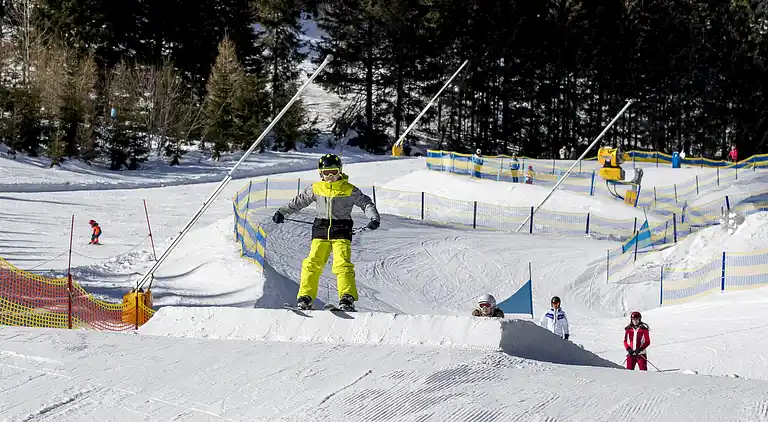 Cottage in Vordernberg