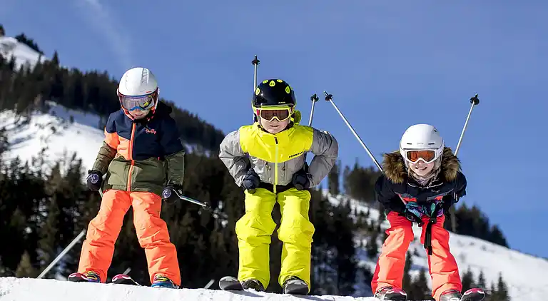 Cottage in Vordernberg