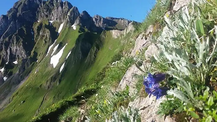 Cottage in Vordernberg