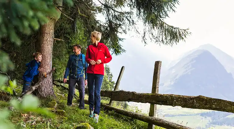 Apartment in Bramberg am Wildkogel