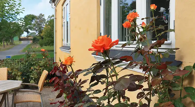 Maison de vacances au Søby Ærø