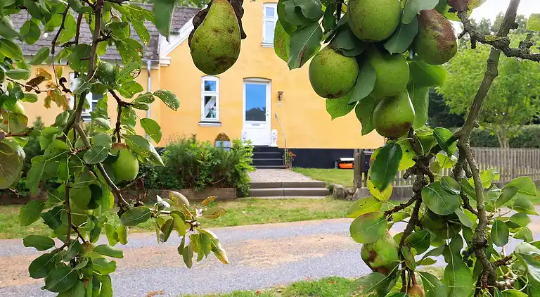 Maison de vacances au Søby Ærø