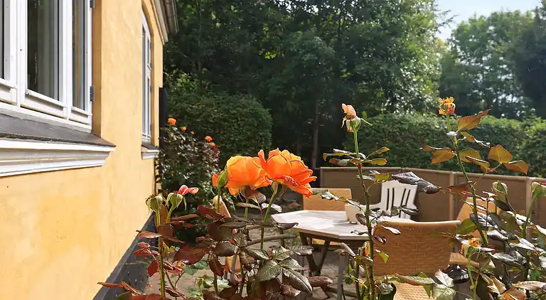 Maison de vacances au Søby Ærø