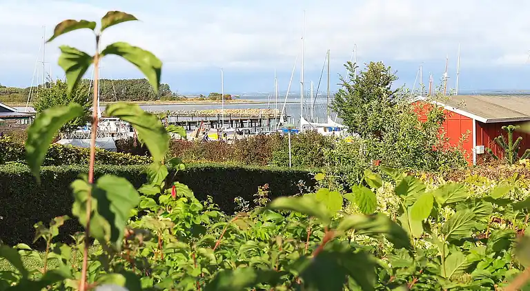 Ferienhaus in Ærøskøbing