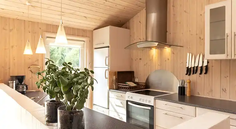 Holiday home in Ålbæk