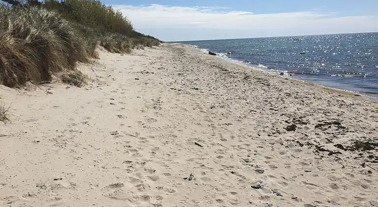 Arkitekttegnet ferieperle på Bornholm