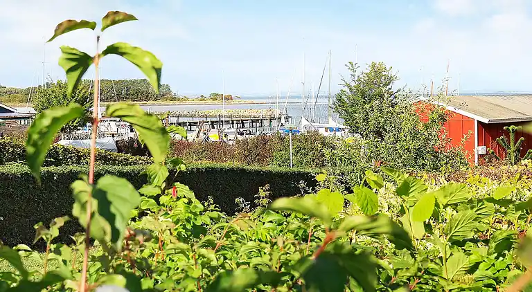 Semesterbostad i Ærøskøbing