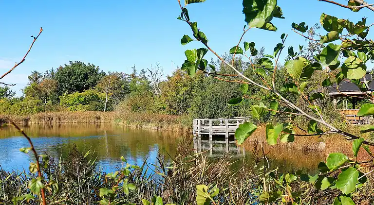 Casa de vacaciones en Bogense
