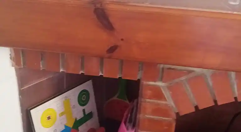 Traditionellt hus, lungt, nära havet. Ditt hem.