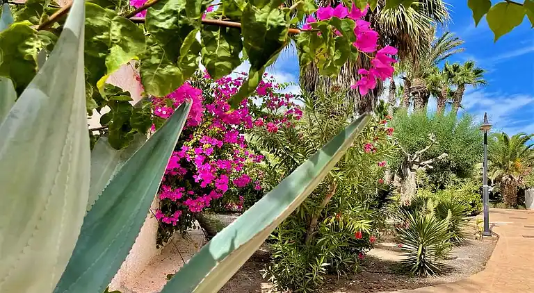 Holiday home in Roquetas de Mar