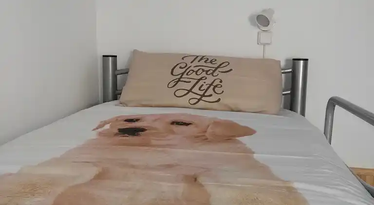 Traditionellt hus, lungt, nära havet. Ditt hem.