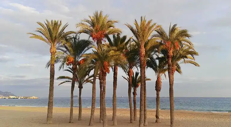 Traditionellt hus, lungt, nära havet. Ditt hem.