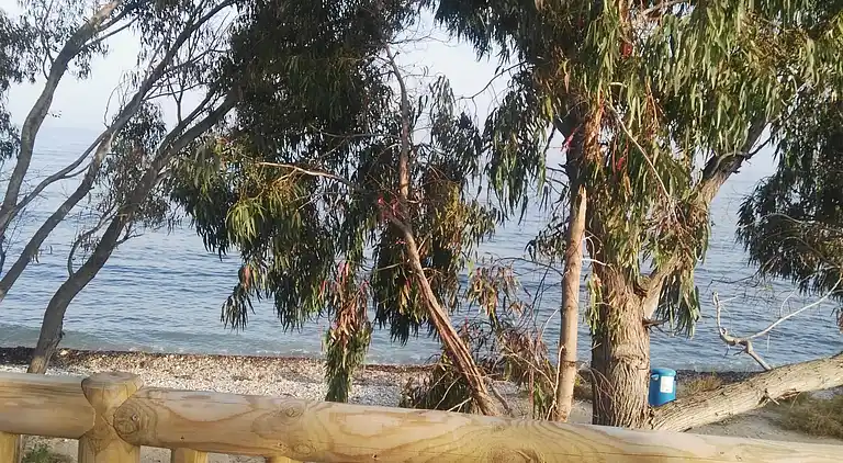 Traditionellt hus, lungt, nära havet. Ditt hem.