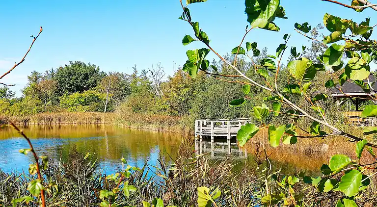 Sommerhus i Bogense