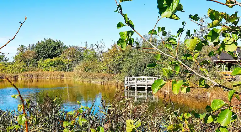 Feriebolig i Bogense