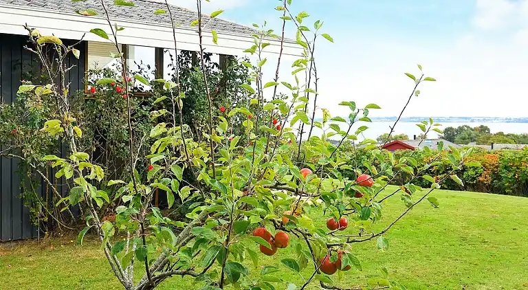 Semesterbostad i Ebberup