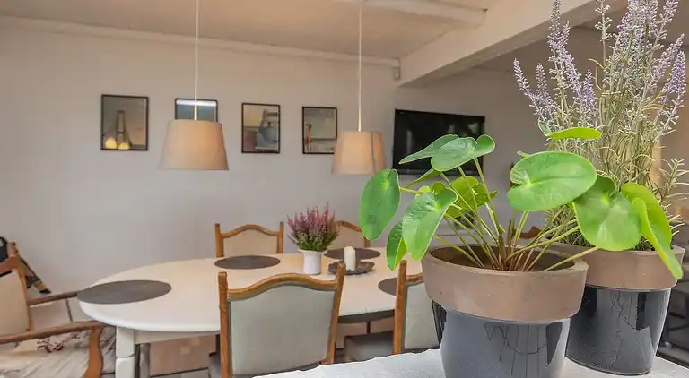 Sommerhus i Tranekær