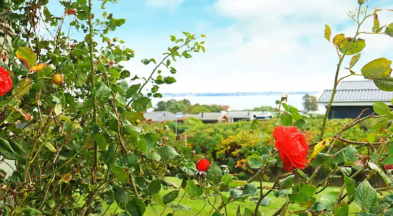 Semesterbostad i Ebberup