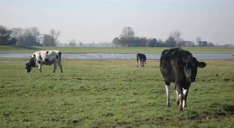 Semesterbostad i Easterlittens