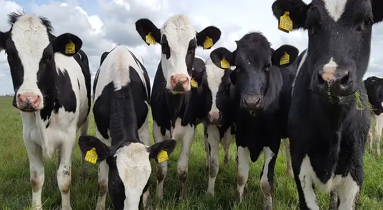 Semesterbostad i Easterlittens