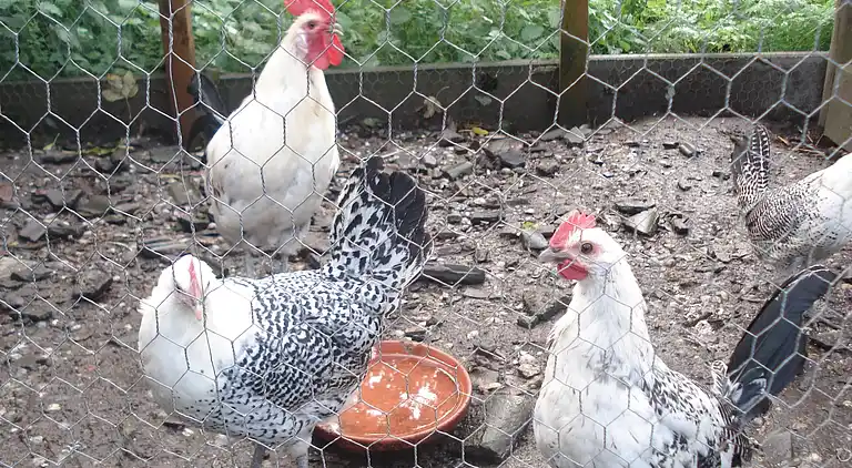 Semesterbostad i Easterlittens