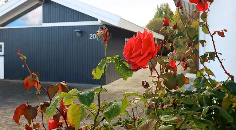 Ferienhaus in Frørup