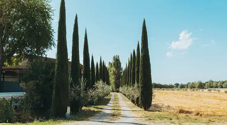 Holiday home in Camucia