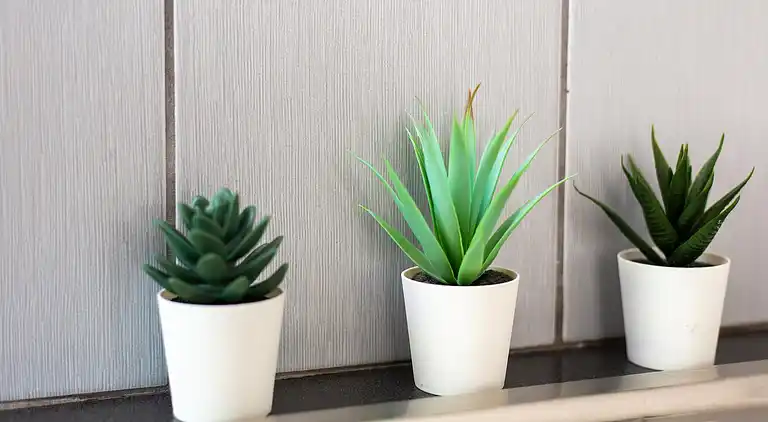 Vakantiehuis in Contes