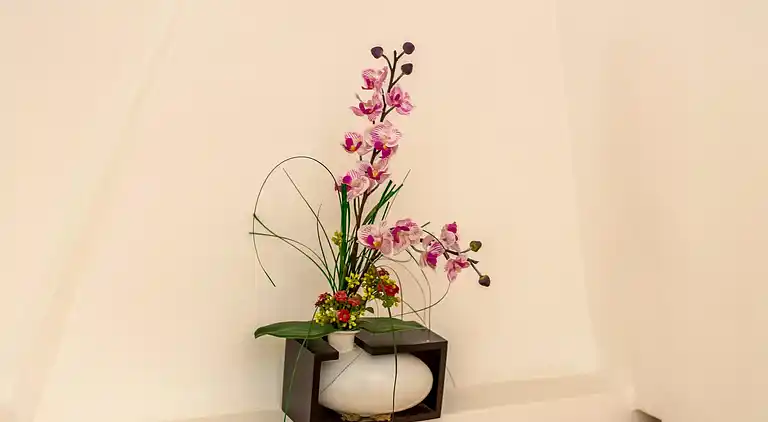 Holiday home in Contes