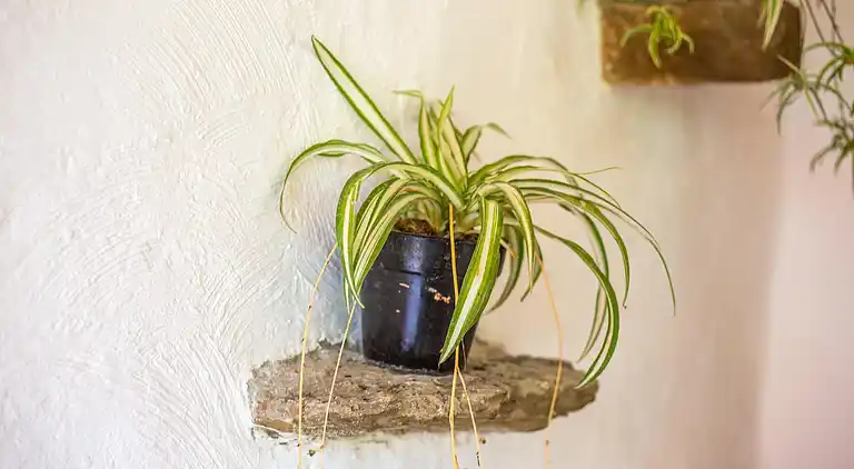 Holiday home in Contes