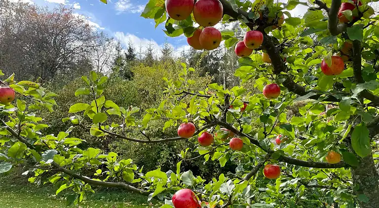 Sommerhus i Karlshamns
