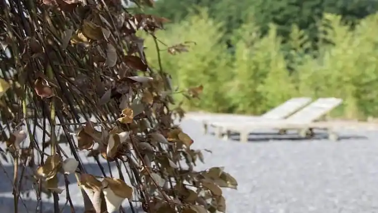 Holiday home in Theux