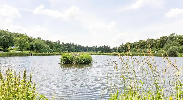 Ferielejlighed i Hahnenklee