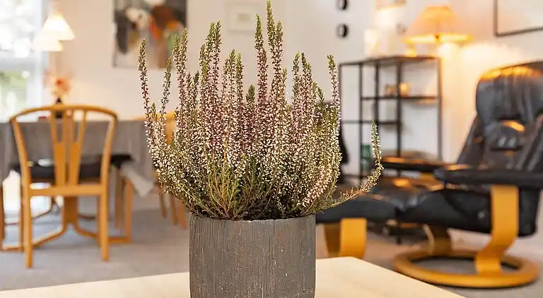 Feriebolig i Thisted