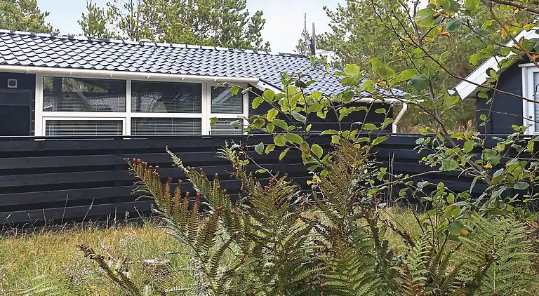 Feriebolig i Thisted