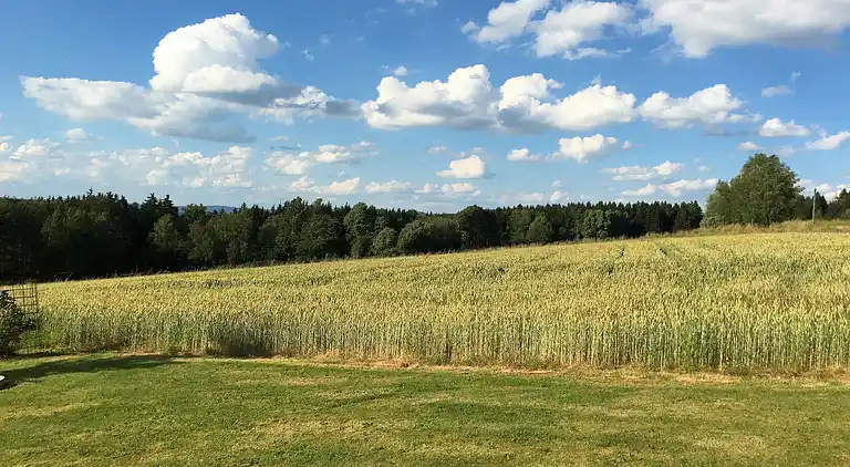 Leilighet i Schönsee