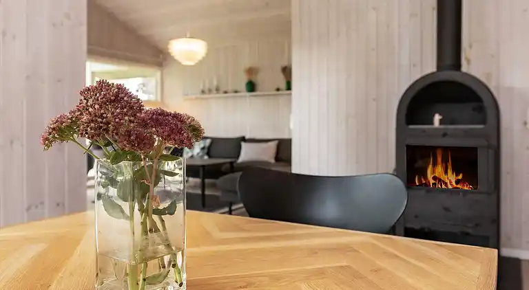 Sommerhus ved Hasmark Strand