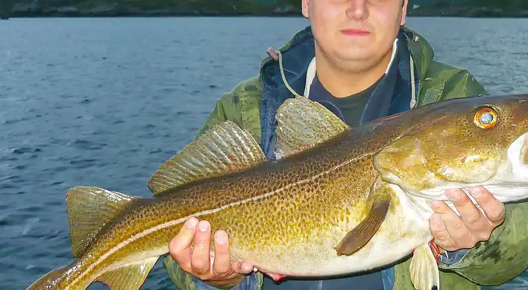 Holiday home in Ballstad
