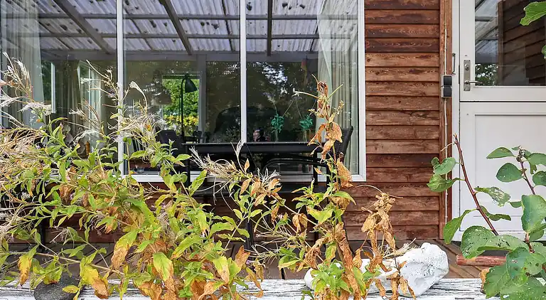 Holiday home in Mesinge