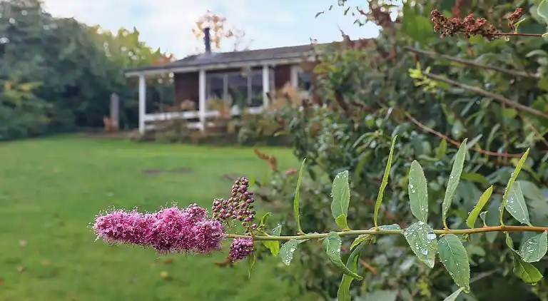 Holiday home in Mesinge