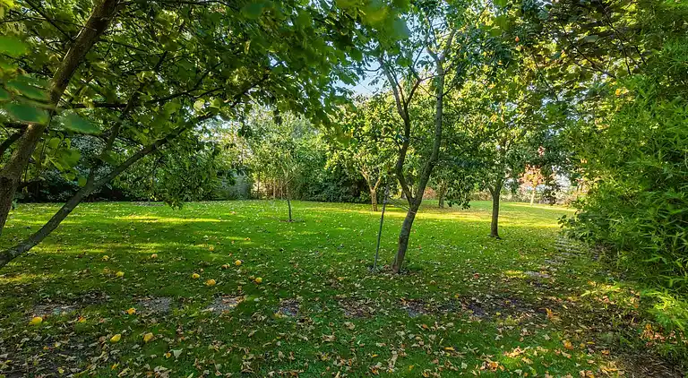 Holiday home in Wijnaldum