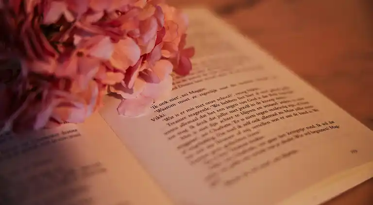 Farm house in Camucia