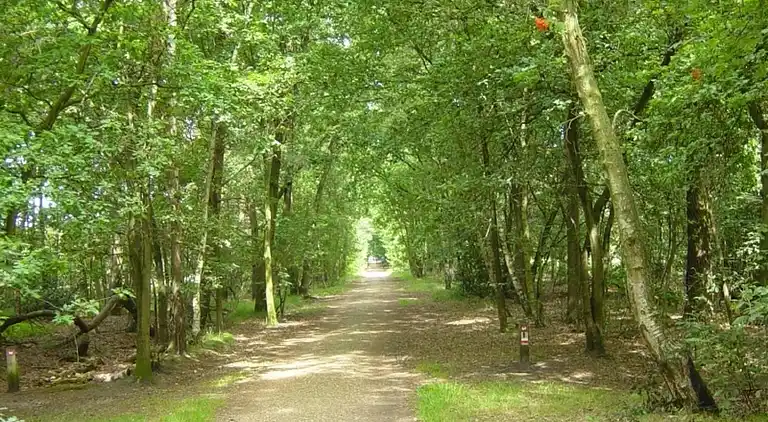 Semesterbostad i Wemeldinge