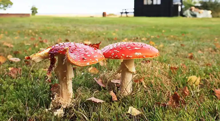 Casa vacanze in Højslev