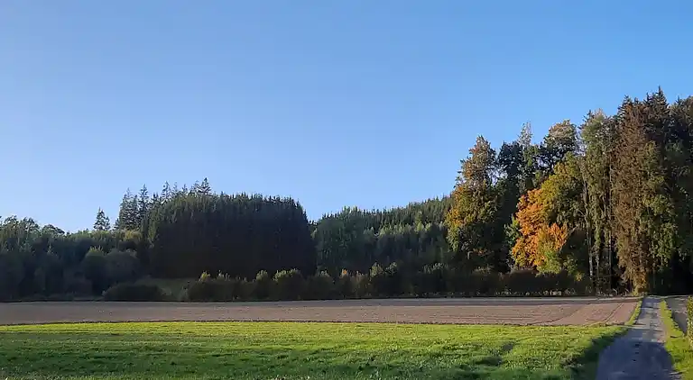 Ferielejlighed i Eslohe (Sauerland)